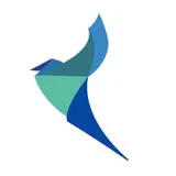 Blue Sparrows Medtech Finance B.V.